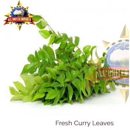 FRESH CURRY LEAVES 1 LB PACK