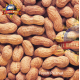 PEANUT FRESH