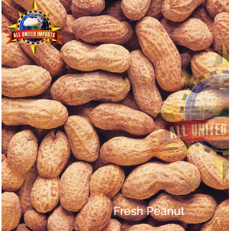 PEANUT FRESH