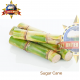 SUGAR CANE