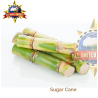 SUGAR CANE