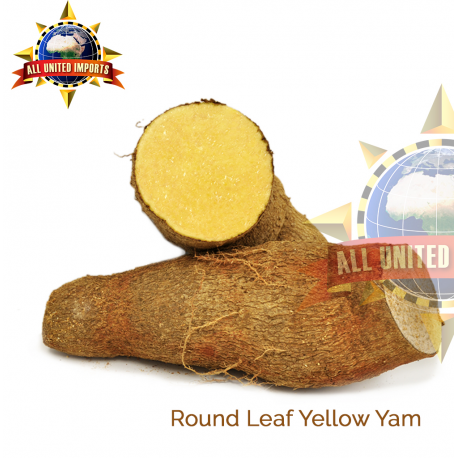 ROUND LEAF YELLOW YAM