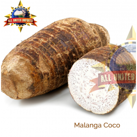MALANGA COCO