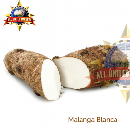 MALANGA BLANCA