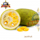 FRESH JACKFRUIT