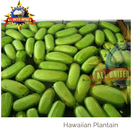 HAWAIAN PLANTAIN [40 LBS BOX]