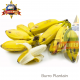 BURRO PLANTAIN