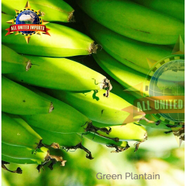 PLANTAIN GREEN [GUATEMALA]