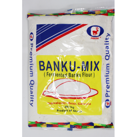 PRAISE BANKU MIX [CASSAVA & MAIZE]