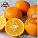 SOUR ORANGE